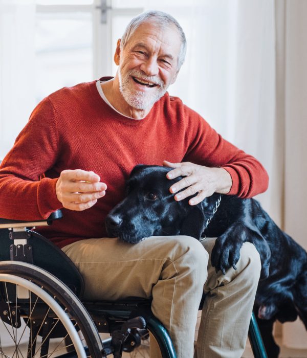 A disabled senior man in wheelchair indoors playing with a pet dog at home. Copy space.